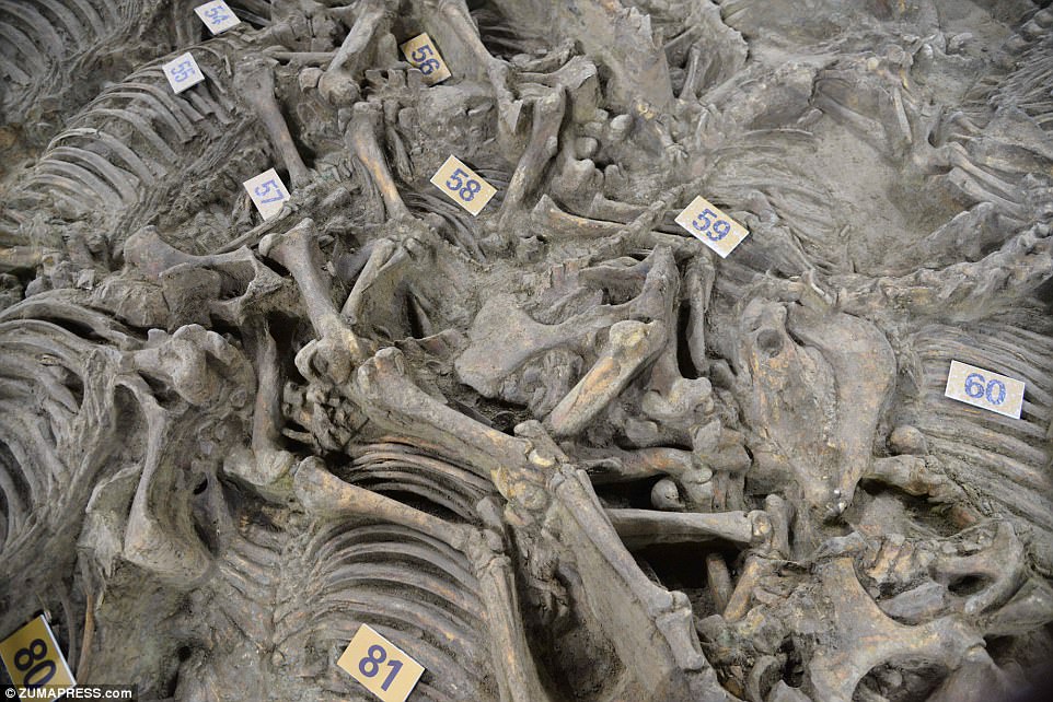 In the vicinity of the Lord’s tomb, archaeologists have unearthed a burial pit containing the remains of 100 horse skeletons dating back 2,400 years