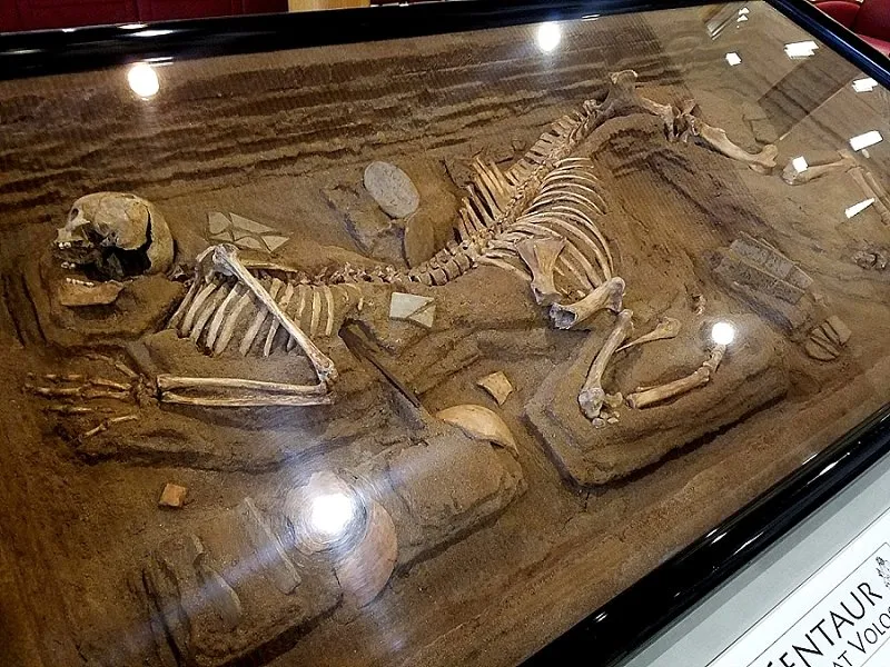 An Excavated Centaur Skeleton from 1980 - News