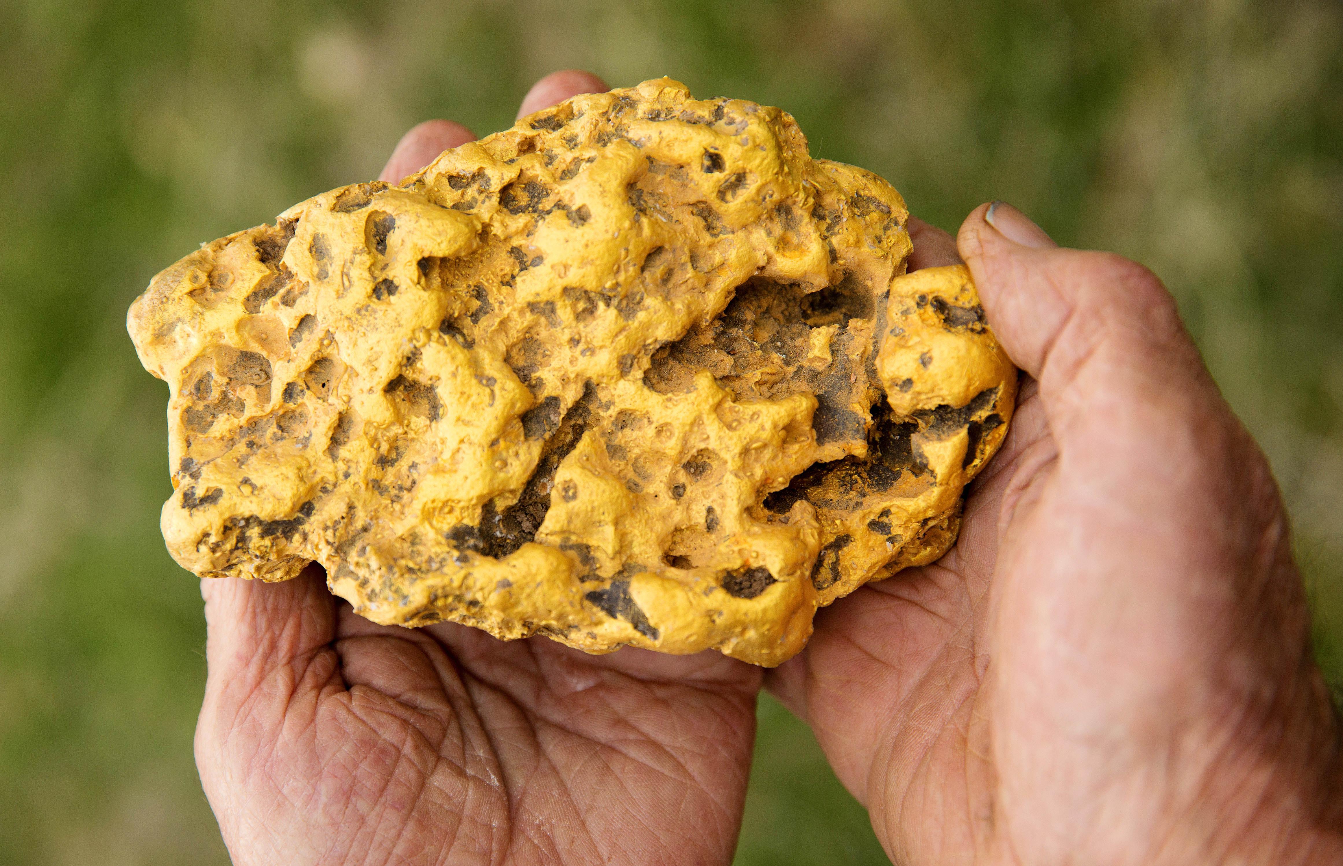 This massive 4.6kg gold nugget was eventually sold to a private buyer in the USA