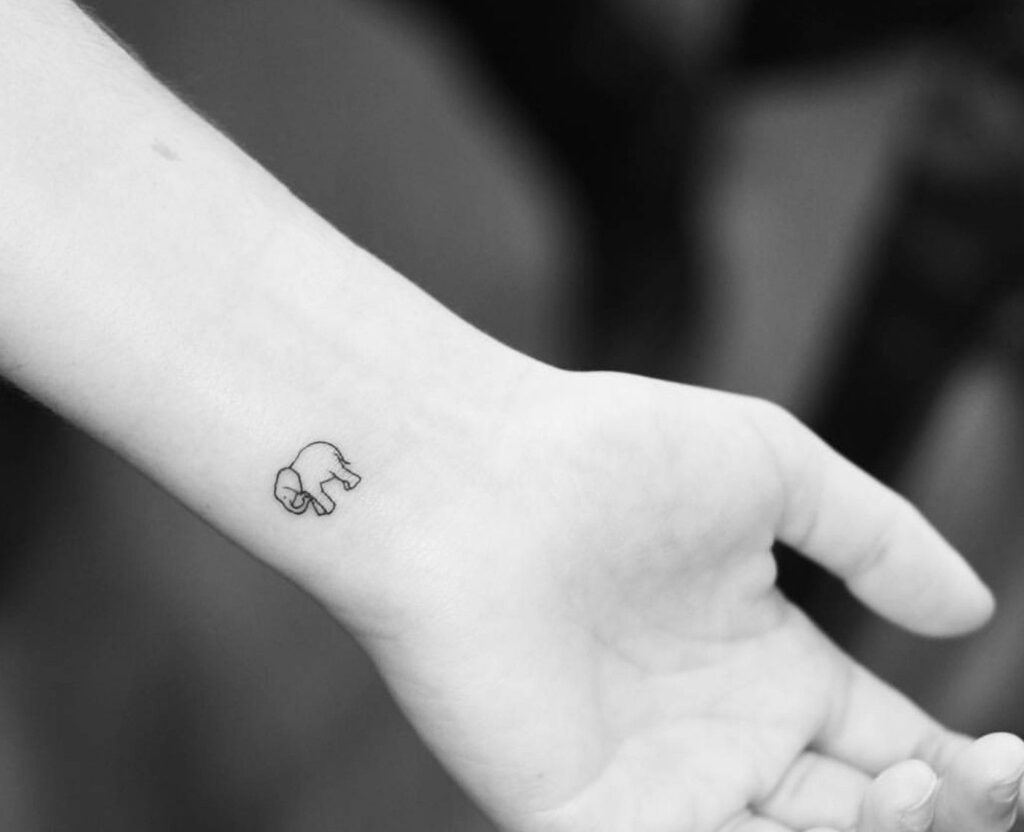 Tattoo voi mini nhỏ xinh trên cổ tay