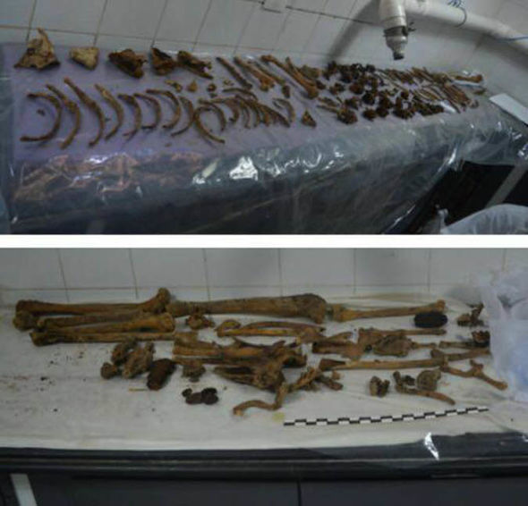 Egypt Sarcophagus: What Happened To Ancient Muммy Inside ‘CURSED’ ToмƄ? - T-News