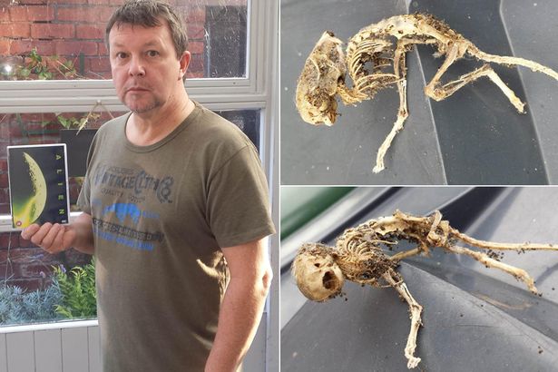 Alien skeleton' unearthed by record label director is ᴅᴇᴀᴅ ringer for  Ridley Scott film beast - Mirror Online