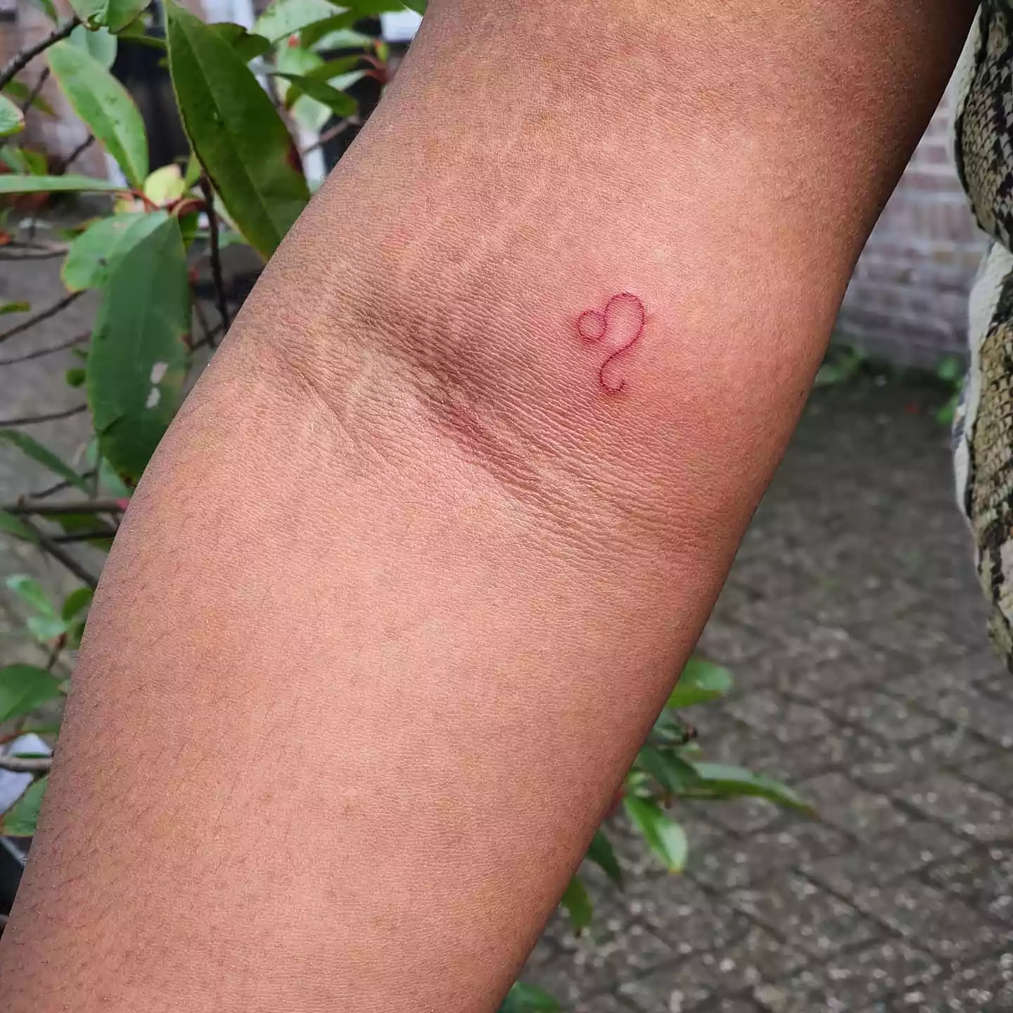 A small Leo tattoo in red on the inner arm