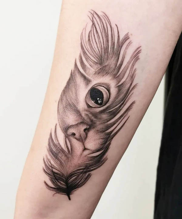 Cute cat and feather tattoo by @sarah_tavilla
