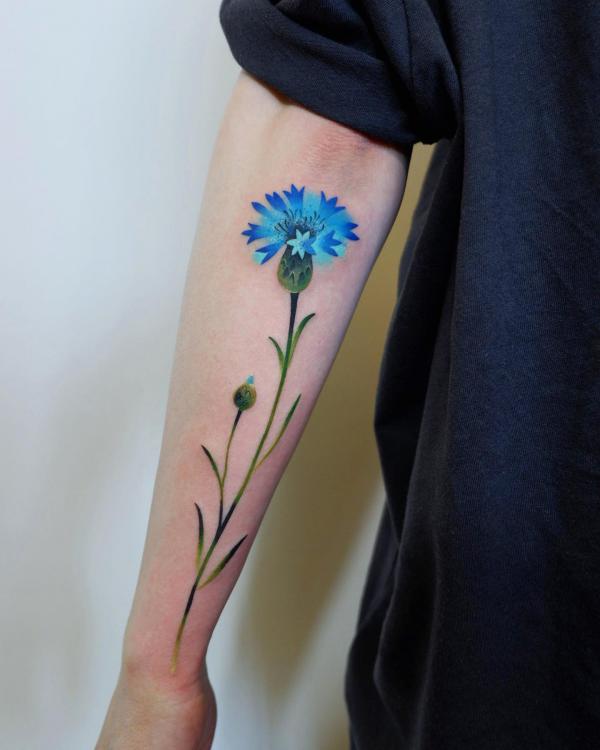 A stem of Cornflower forearm tattoo