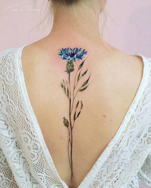 Cornflower spine tattoo