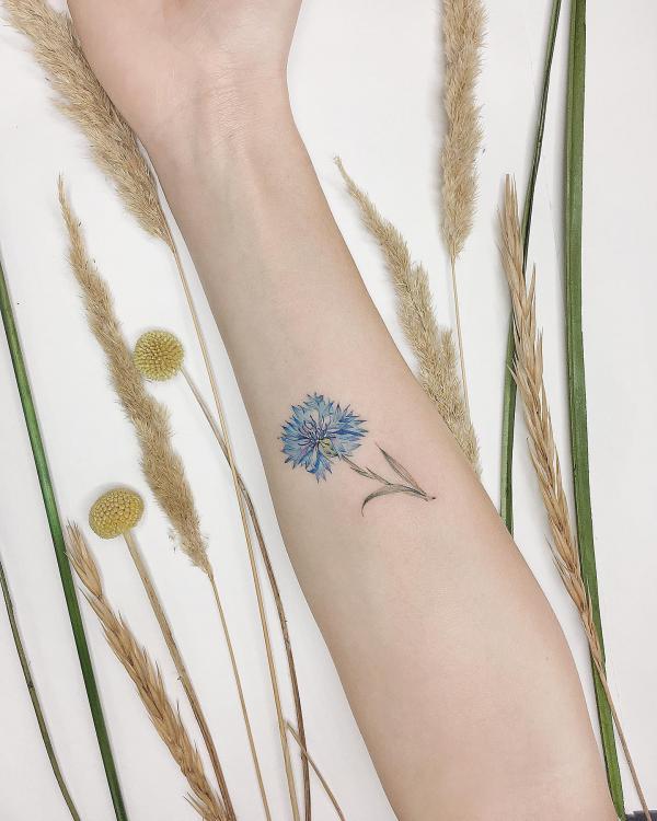 Minimalist Cornflower tattoo on forearm