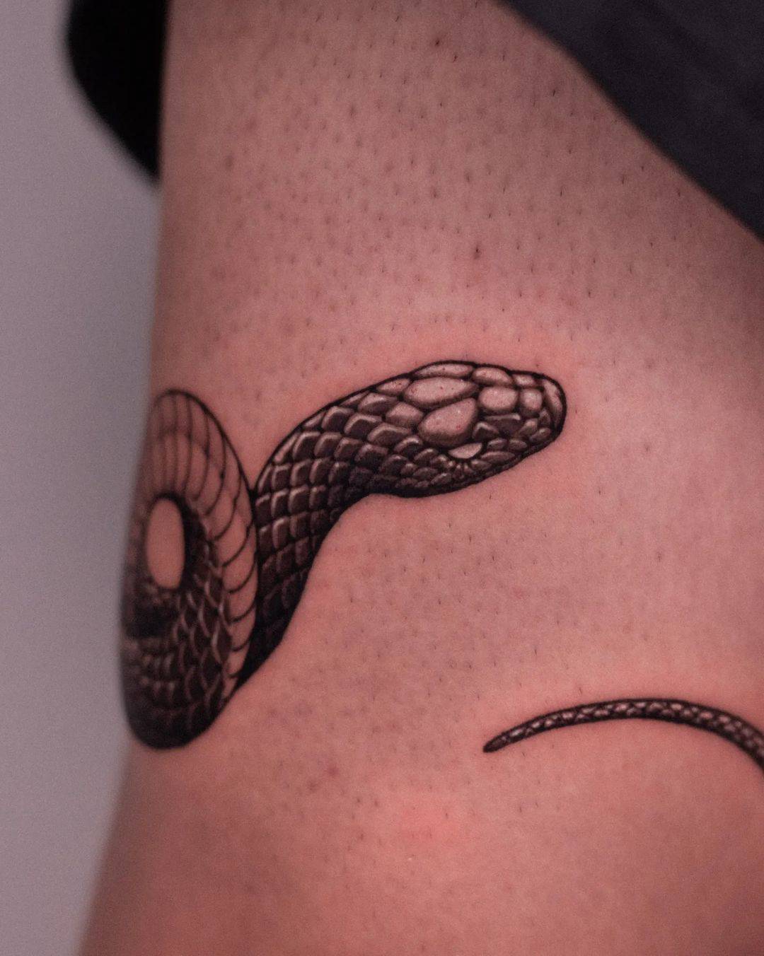 Snake tattoos by koonoblk