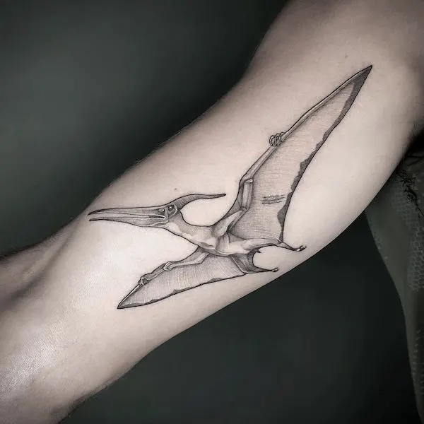 Intricate pterodactyl tattoo by @henjafin