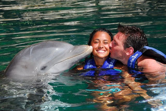 Nado con delfines en México | Delphinus