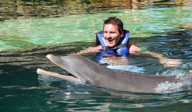 Swim with dolphins in Mexico | Delphinus