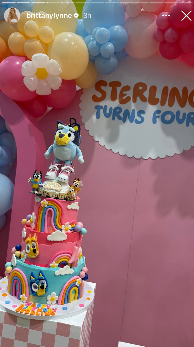 Sterling&#39;s Bluey birthday bash