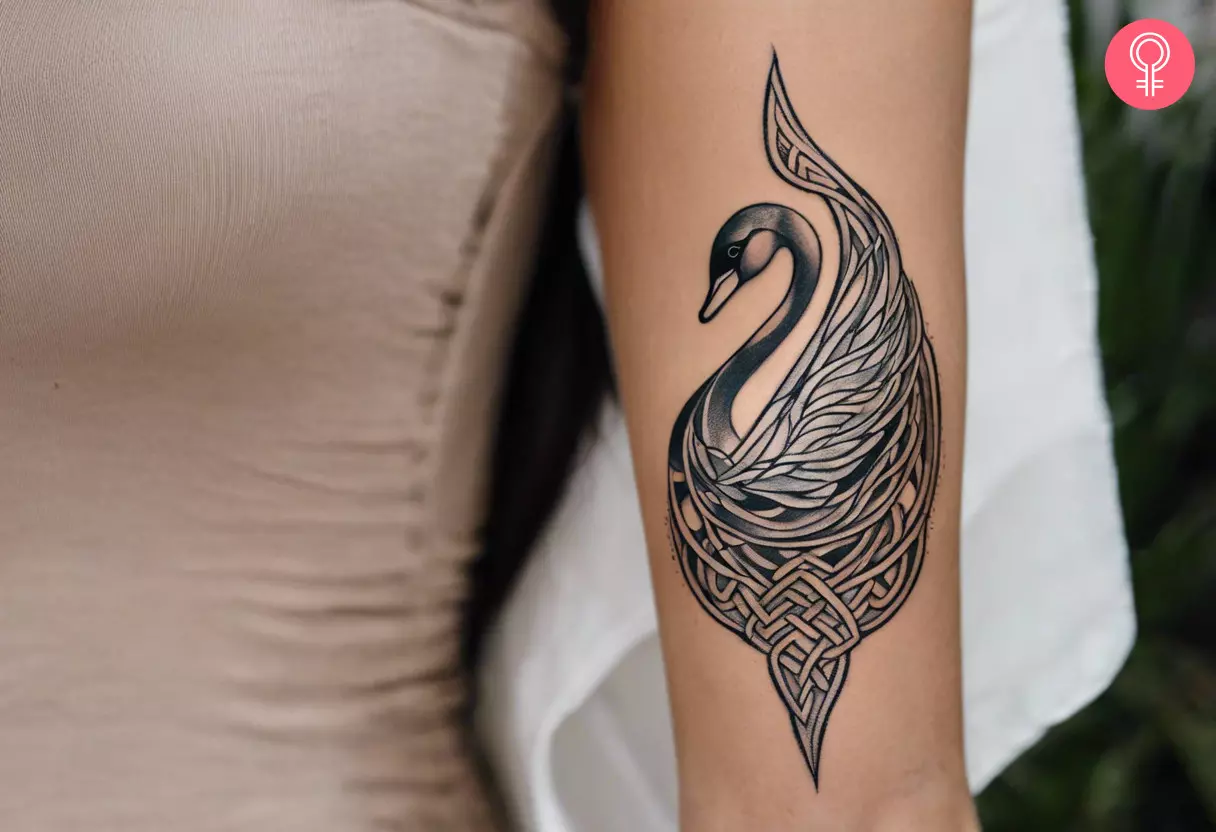 Celtic swan tattoo on the arm