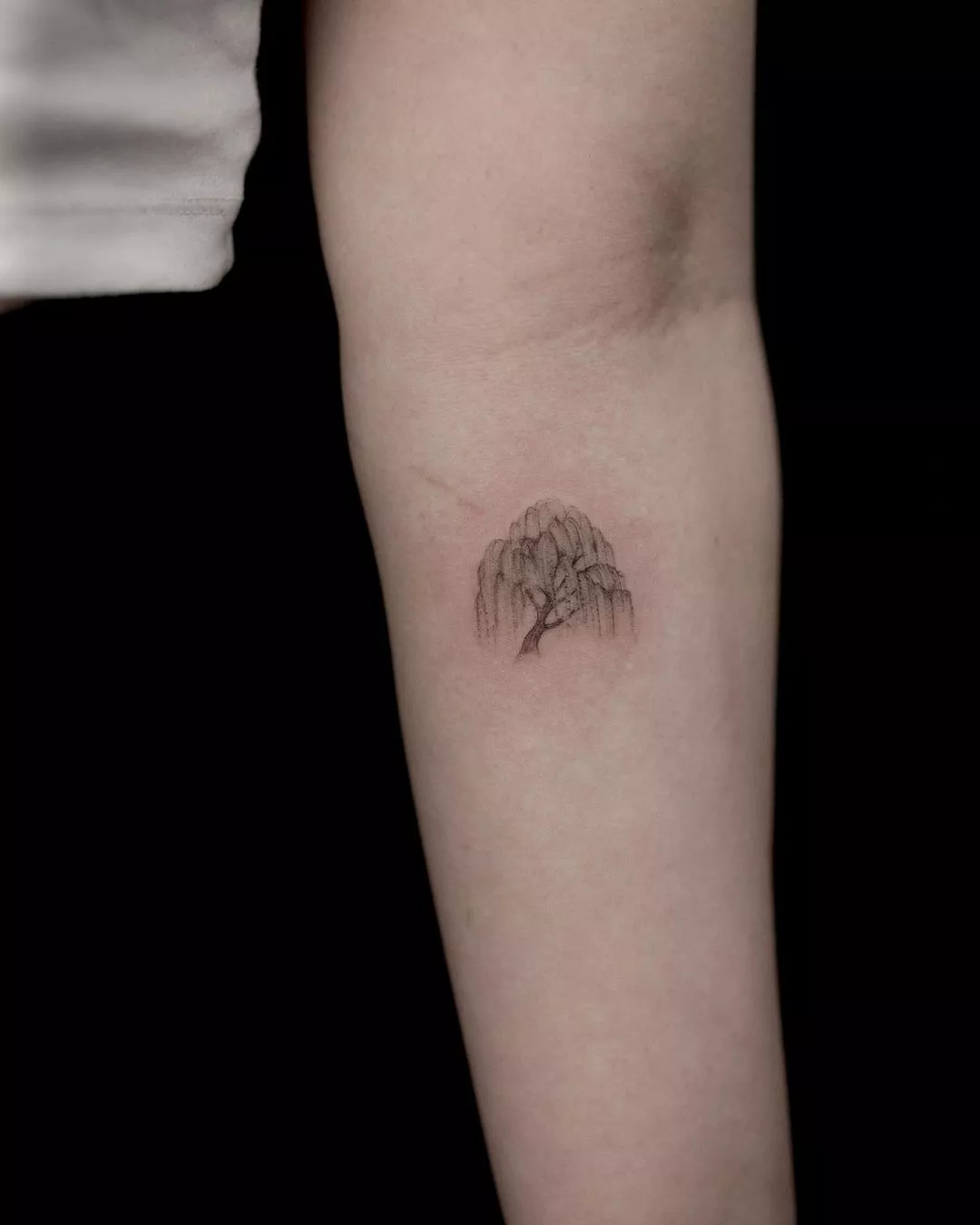 Person shows off a tiny tatoo of a wispy willow on the inside of their elbow